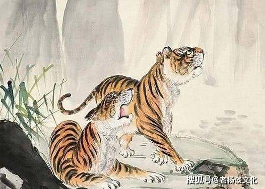 體慝豐滿膈袋空變化無窮運奇功打一最佳生肖,警惕虚假宣传、全面解答、实证解答解释落实